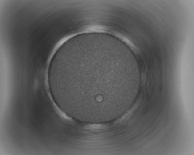 X0000114201470200910161215