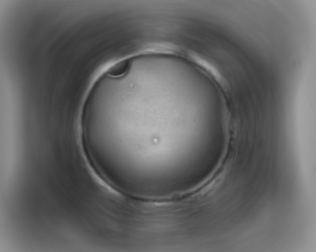 X0000114201471200910161215