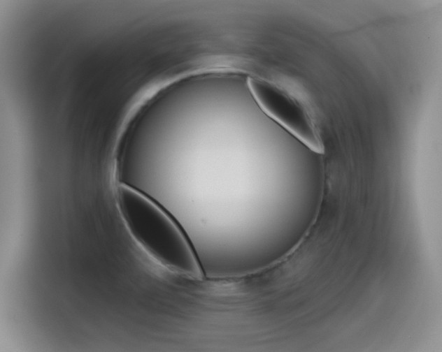 X0000114201472200910161215