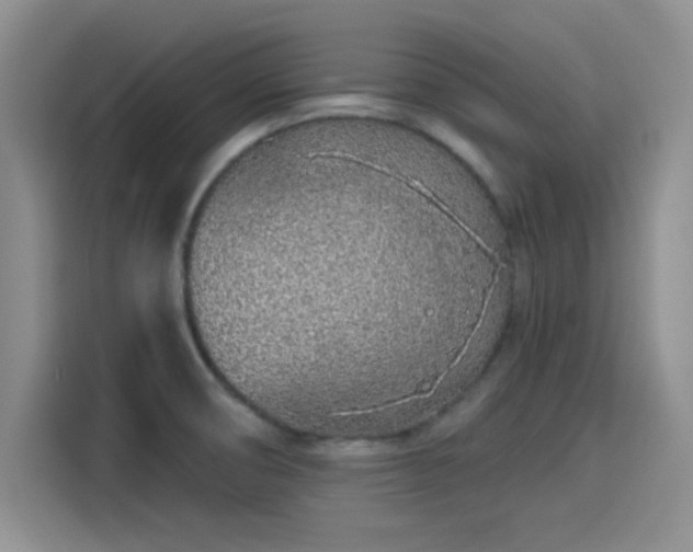 X0000114201474200910161215