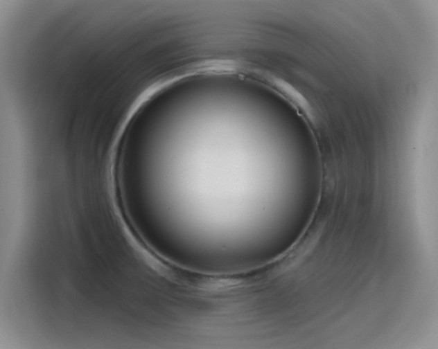 X0000114201475200910161215