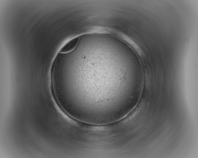 X0000114201479200910161215