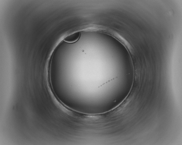 X0000114201483200910161215