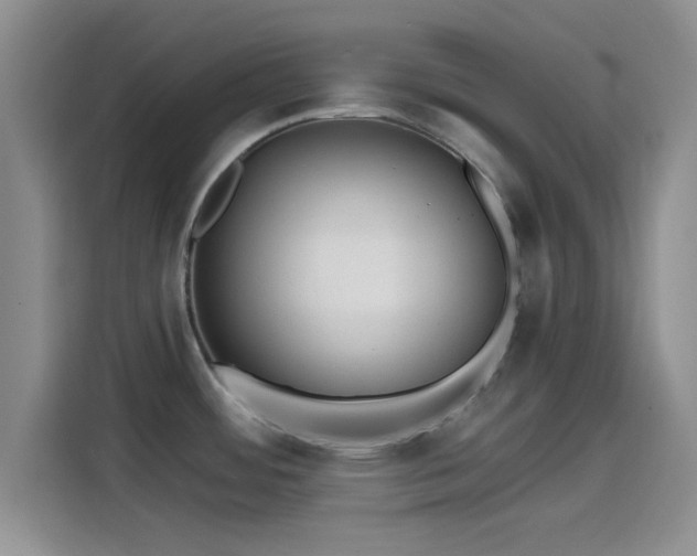 X0000114201484200910161215