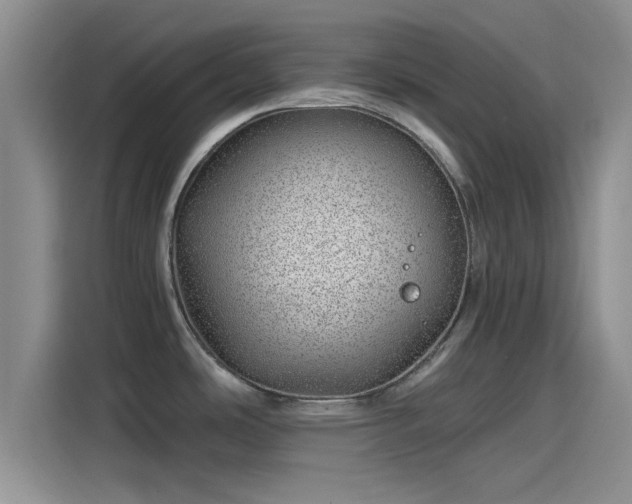 X0000114201486200910161215