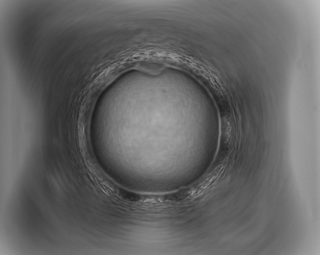 X0000114201489200910161214