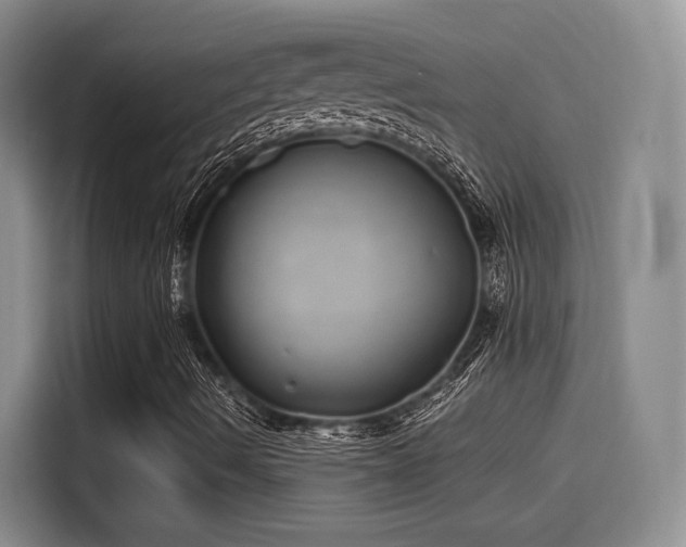 X0000114201490200910161214