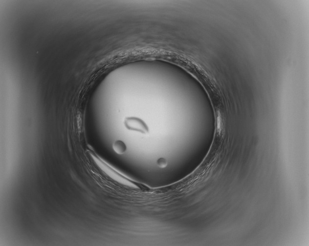 X0000114201492200910161214