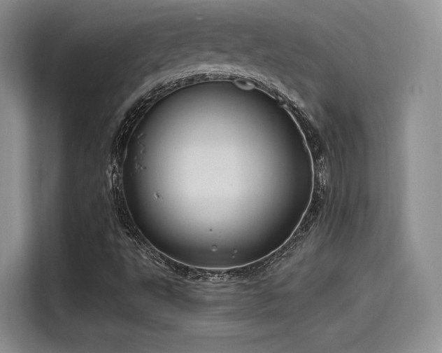 X0000114201495200910161214