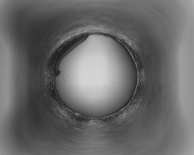 X0000114201496200910161214