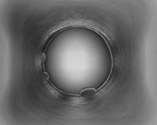 X0000114201499200910161214