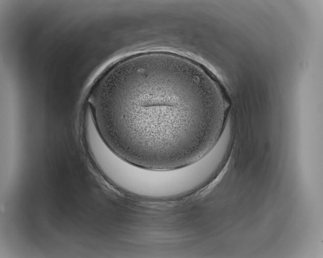 X0000114201502200910161214