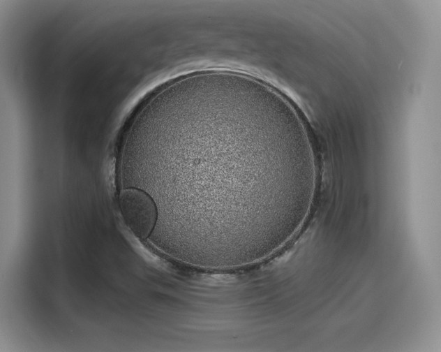 X0000114201503200910161214