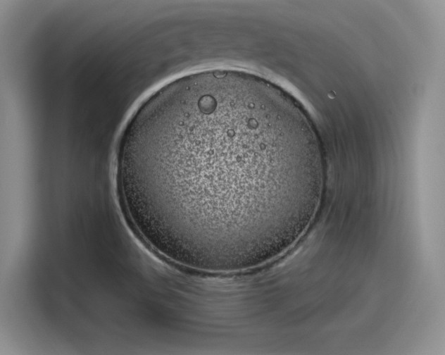 X0000114201508200910161214