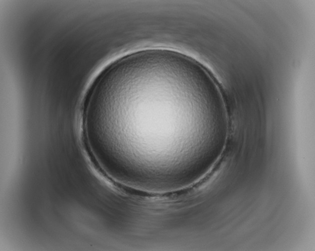 X0000114201511200910161214