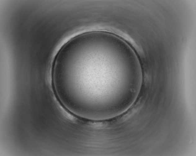 X0000114201512200910161214