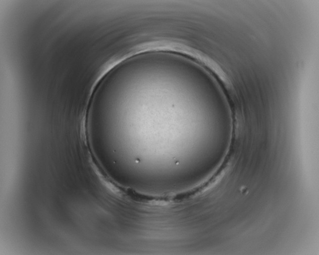 X0000114201513200910161214