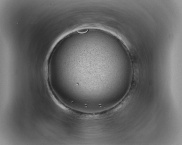 X0000114201519200910161214