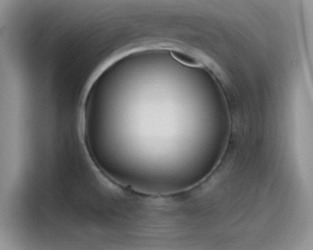 X0000114201520200910161214