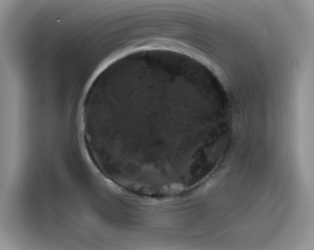 X0000114201522200910161214