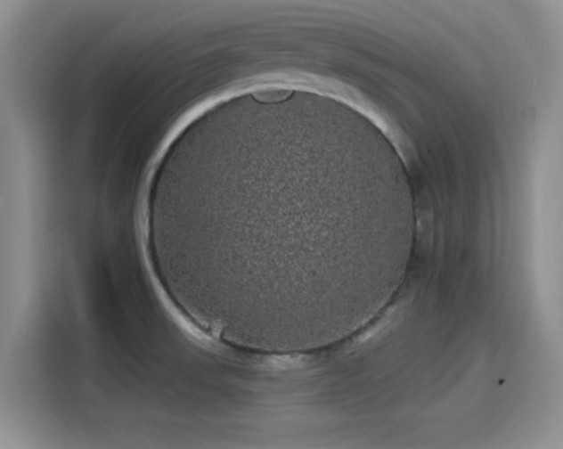 X0000114201523200910161214