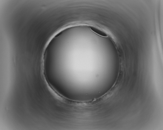 X0000114201524200910161214