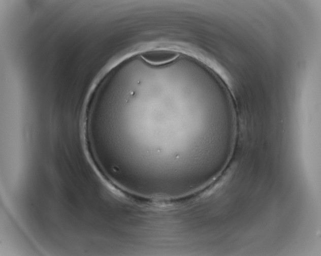 X0000114201525200910161214