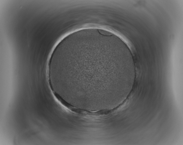 X0000114201527200910161214