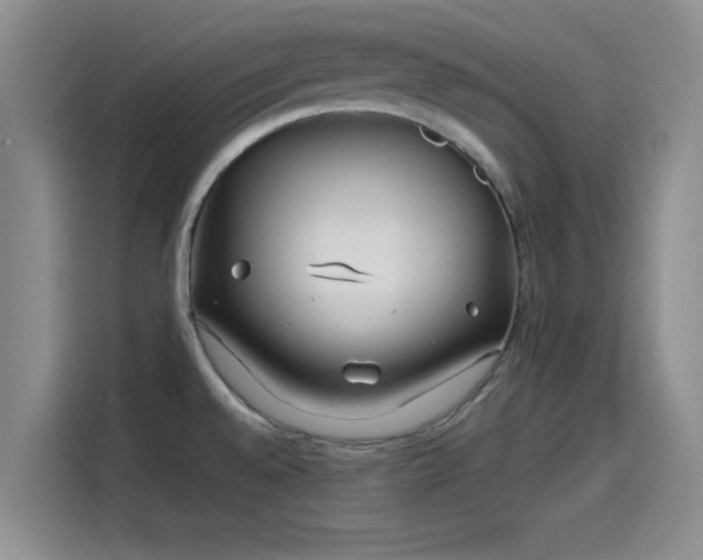 X0000114201528200910161214