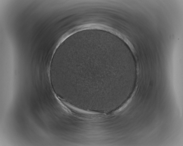 X0000114201529200910161215