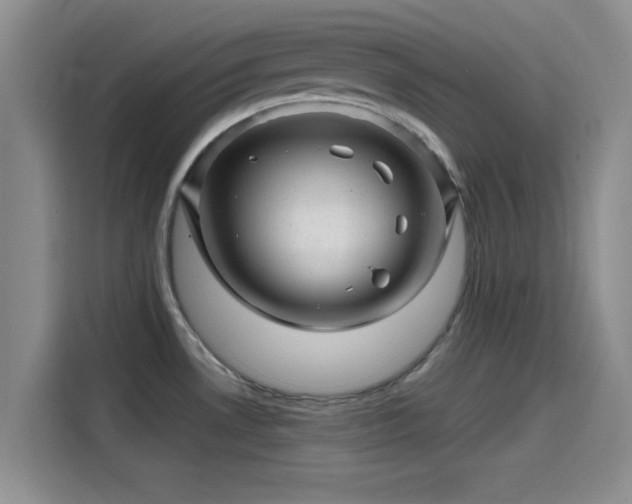 X0000114201530200910161215