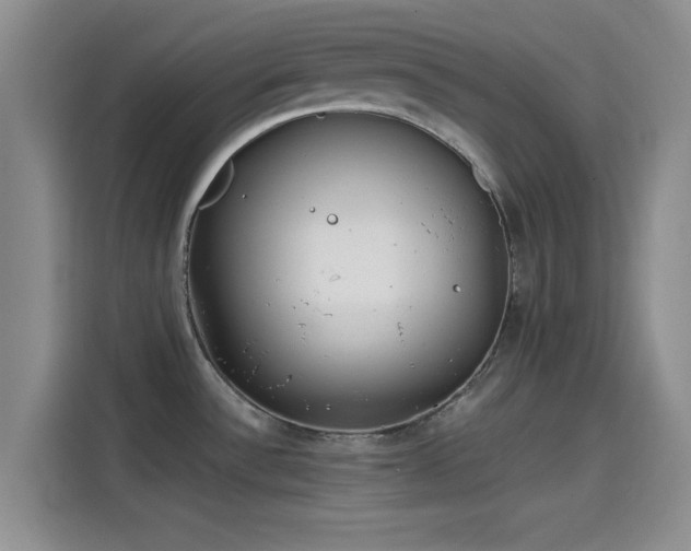 X0000114201532200910161215