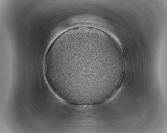 X0000114201533200910161215