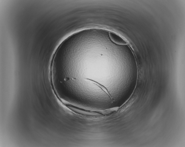 X0000114201535200910161215