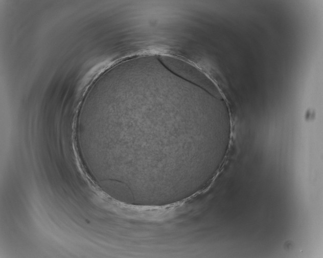 X0000114200001200910231354