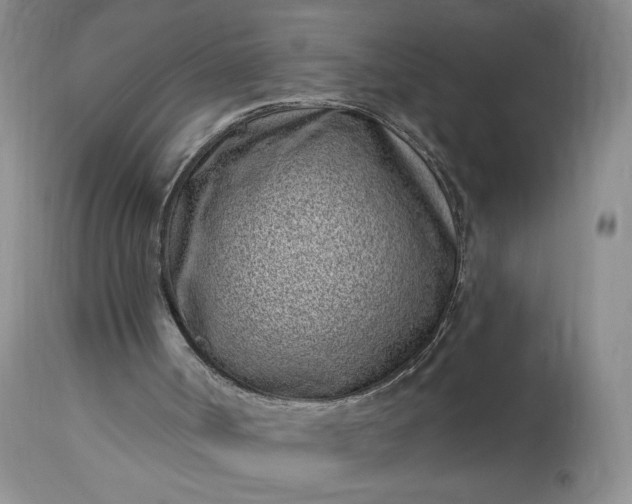 X0000114200002200910231354