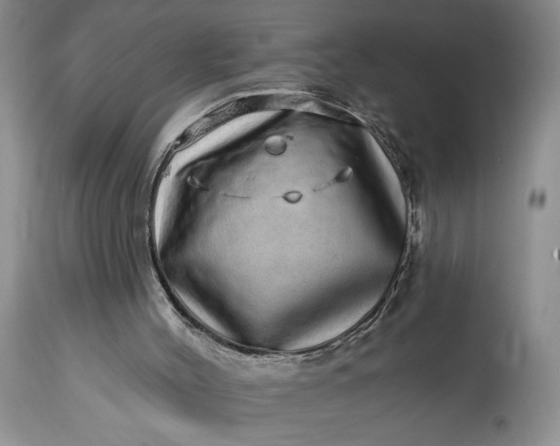 X0000114200004200910231354