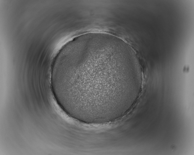 X0000114200005200910231354