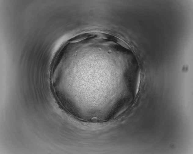 X0000114200006200910231354