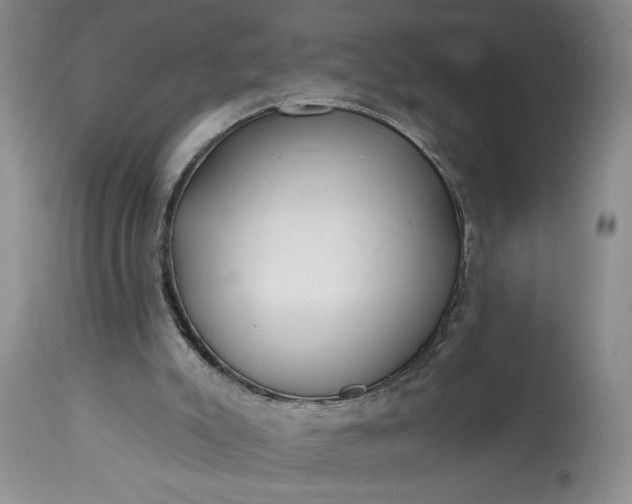 X0000114200007200910231354