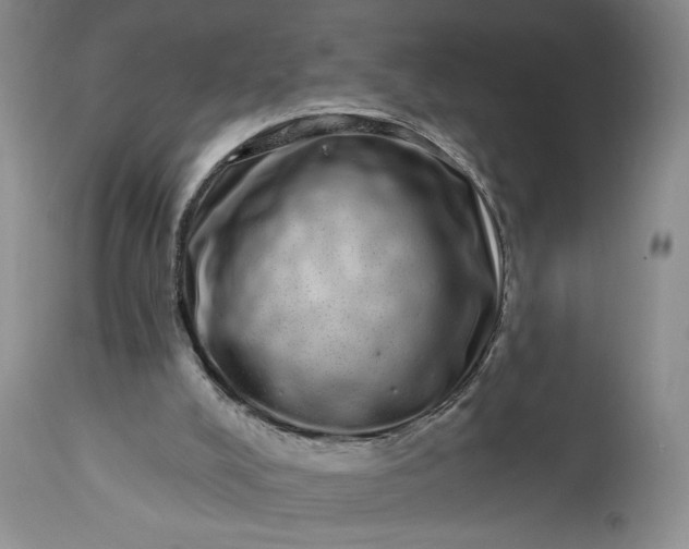 X0000114200008200910231354