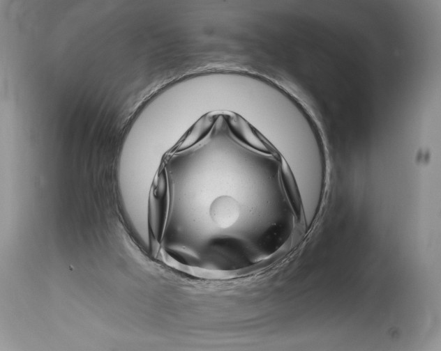 X0000114200009200910231354