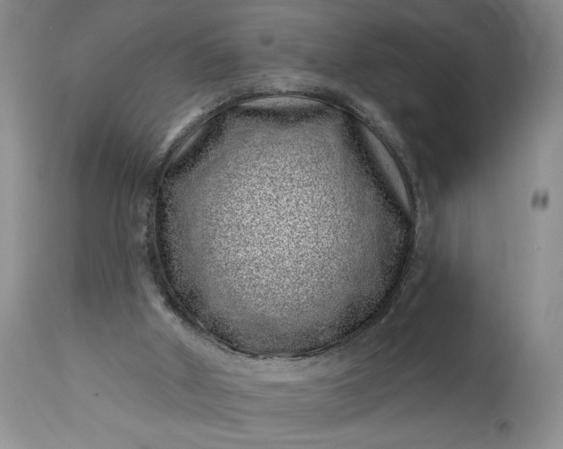 X0000114200010200910231354