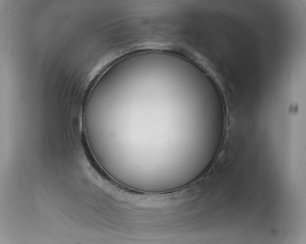 X0000114200011200910231354