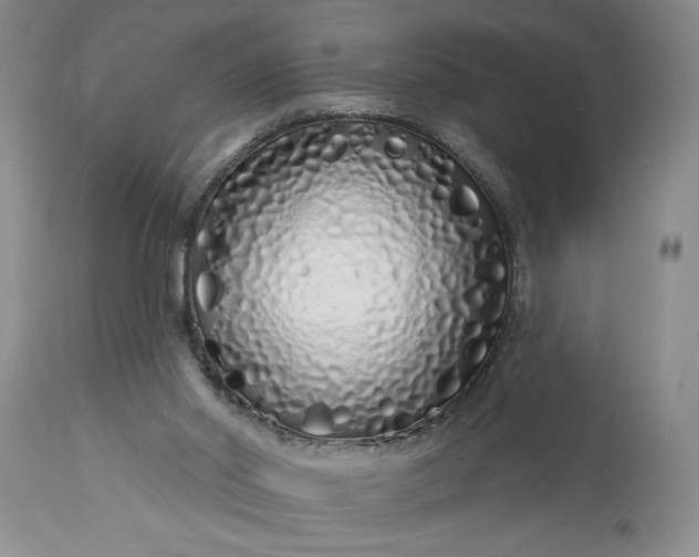 X0000114200014200910231354