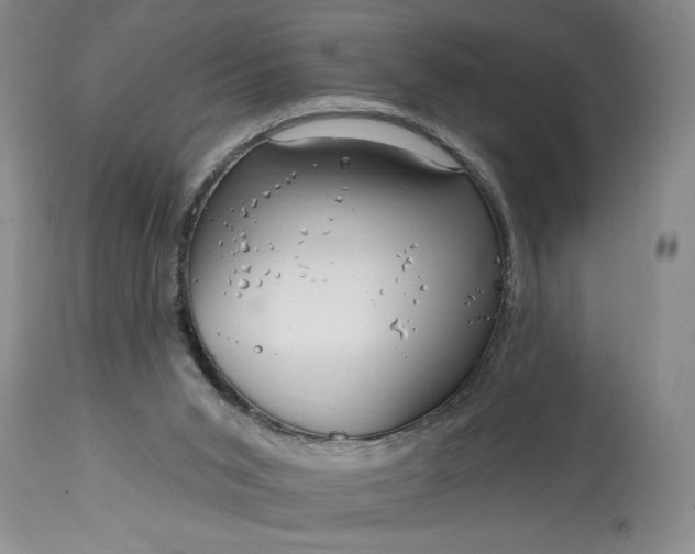 X0000114200015200910231354