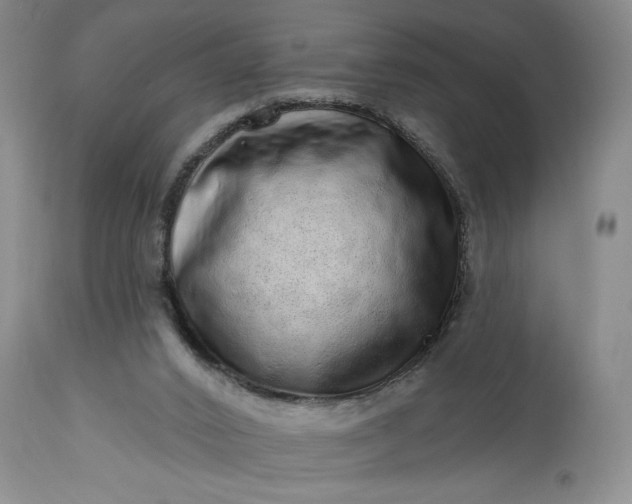 X0000114200016200910231354