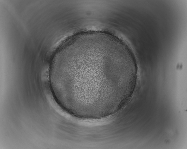 X0000114200017200910231354