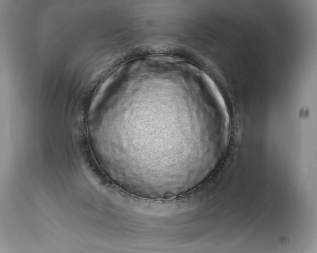 X0000114200018200910231354