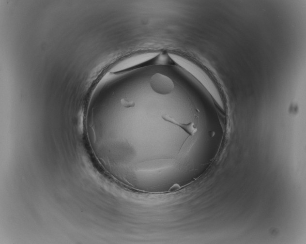 X0000114200019200910231354